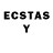 Ecstasy TESLA William Beavis