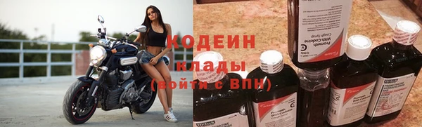 мдпв Вяземский