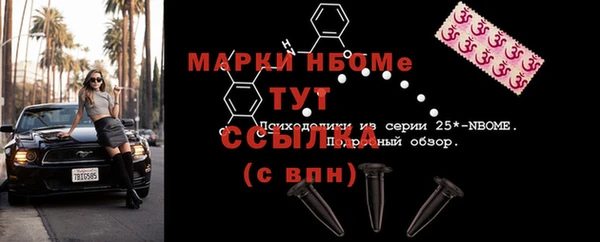 мдпв Вяземский