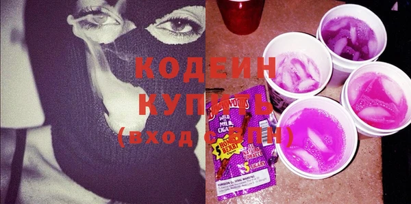 мдпв Вяземский