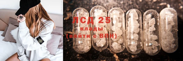 мдпв Вяземский