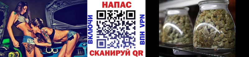 Купить закладки  Каменск-Шахтинский  Канабис семена 